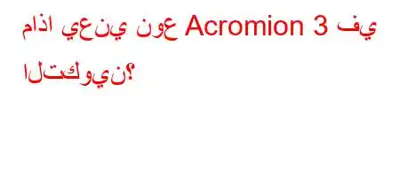 ماذا يعني نوع Acromion 3 في التكوين؟